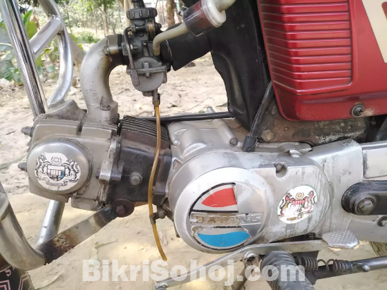 Dayng 80cc